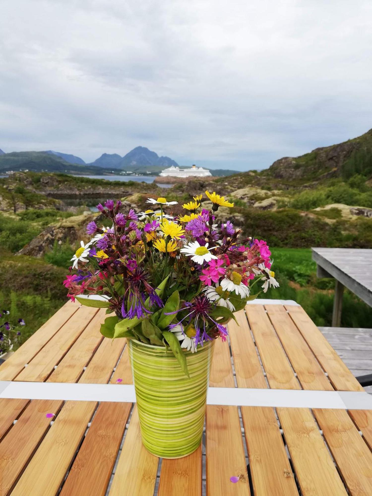 Unique Private Cabin In Lofoten Leknes Exteriér fotografie