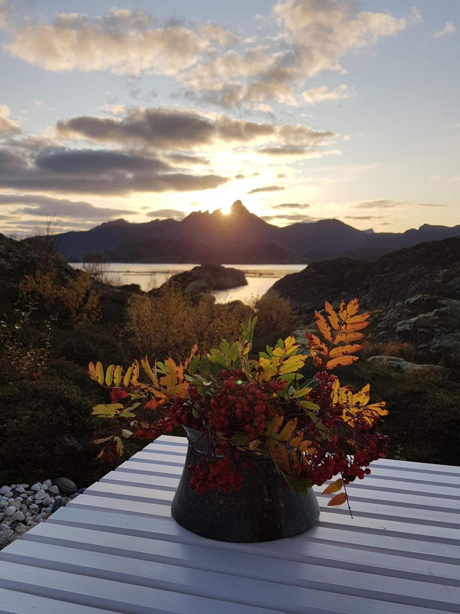 Unique Private Cabin In Lofoten Leknes Exteriér fotografie